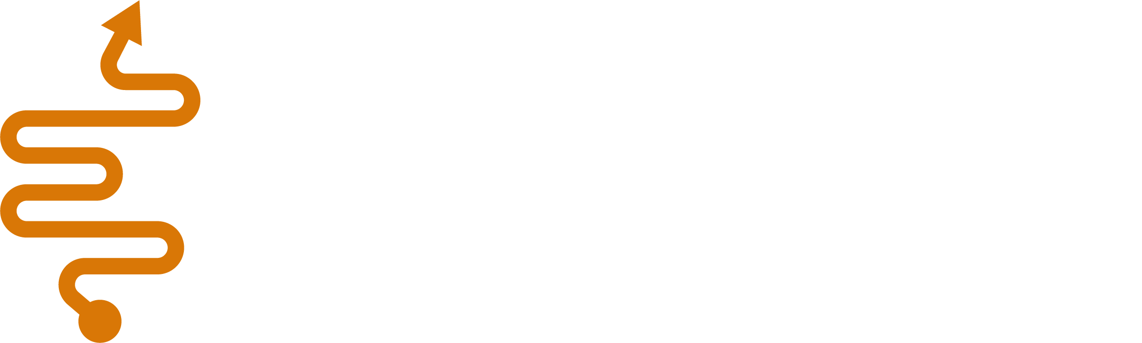 Experience Institute Logo